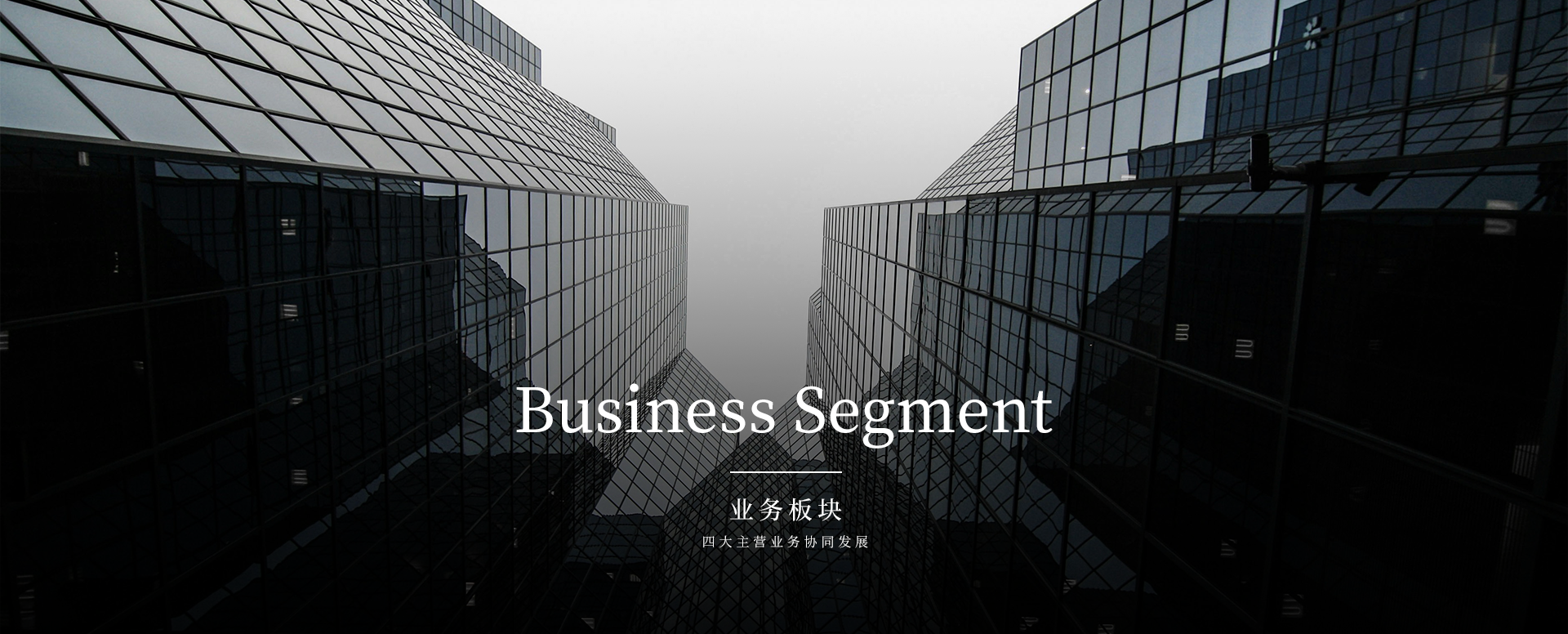 业务板块